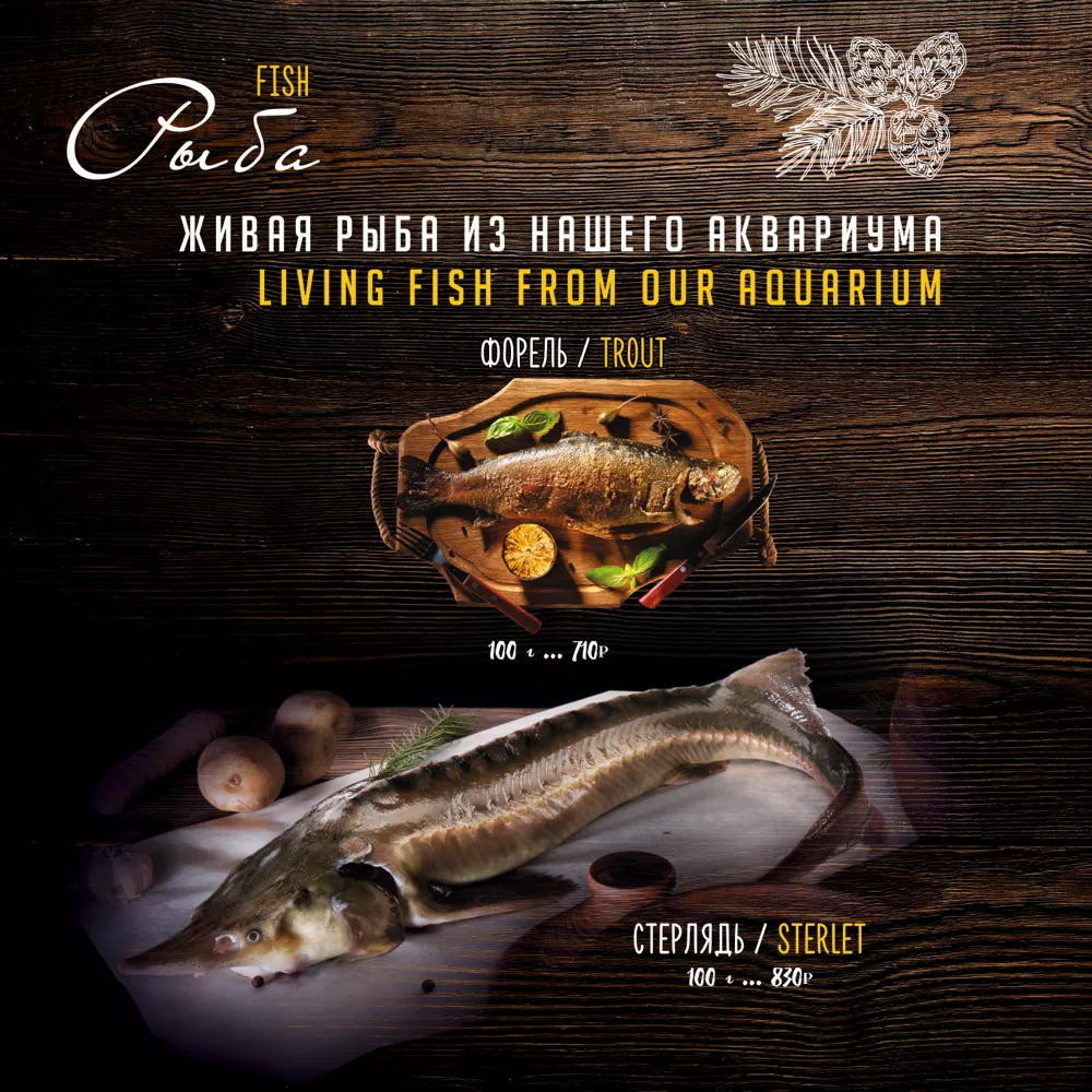 меню Таежки