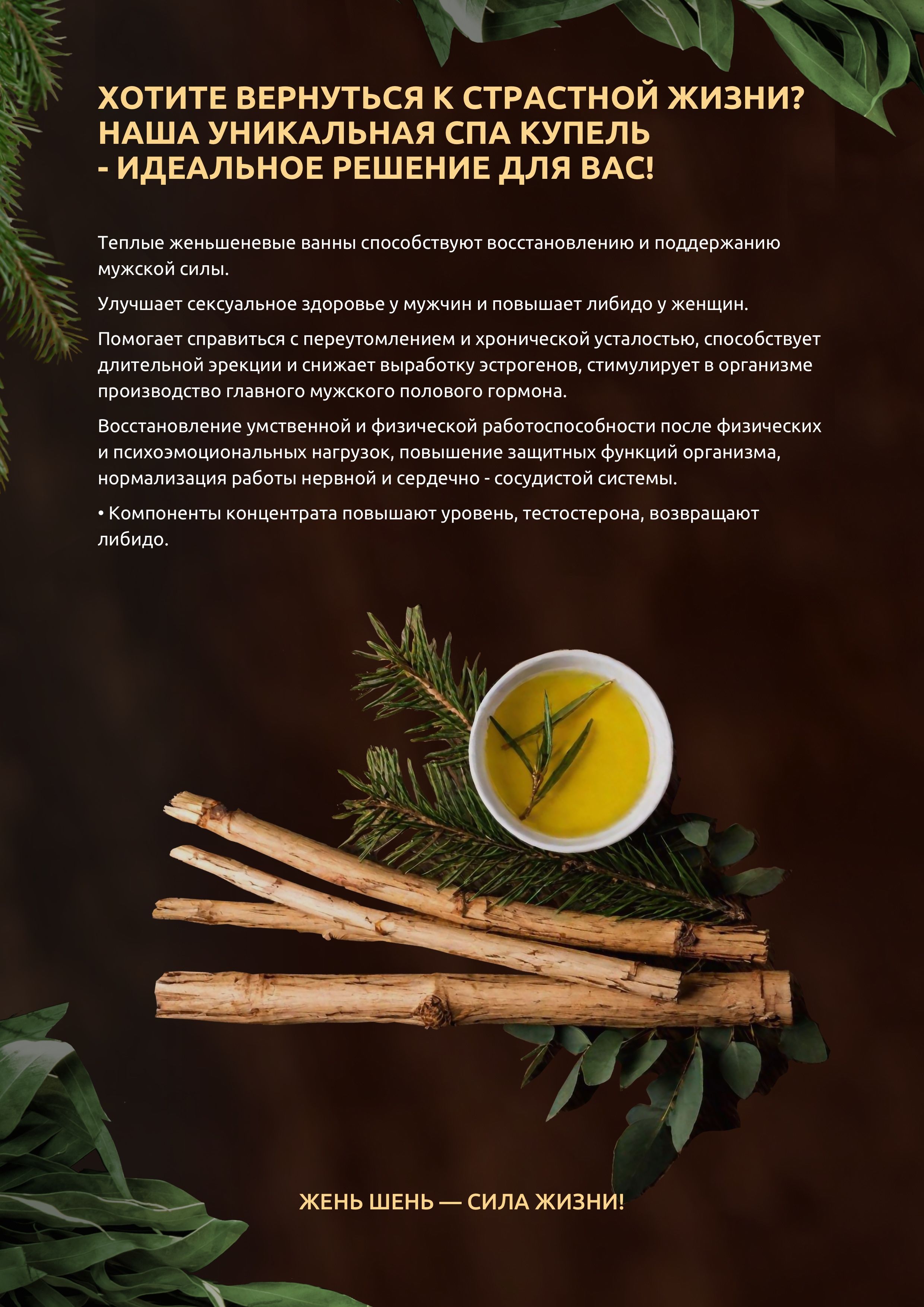 Сила императора — дополнительное фото